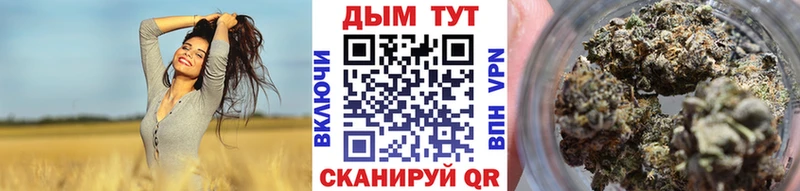 Бошки марихуана планчик  как найти   Суровикино 